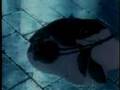 Cowboy Bebop- Rabbit in the moon - Kaub�i Bibappu Tengoku no Tobira Cowboy Bebop the Movie Knockin on Heavens Door - Flixster Video