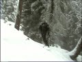 ski-denise-karbon-wins-2008-ofterschwang-giant-slalom.html