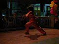Wushu performance in SMKPJ during Pesta Tanglung