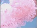 Mondo Grosso - GRACEFUL WAYS