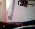 Trucos de Rabito