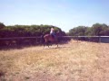 Riding My Beautiful New Horse!!!!!