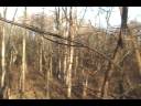 Maryland 2008 Deer Hunt