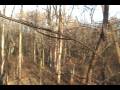 videos de Maryland 2008 Deer Hunt