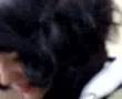 videos de unser bldsinn