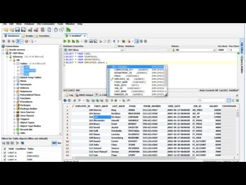 DbVisualizer - Umfangreiche Datenbankverwaltung