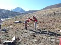 william fights genghis khan