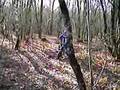 nous en dirt
