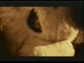 Aphex Twin - Donkey Rhubarb [D. Slade]