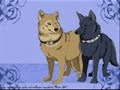 Wolfs Rain SlideShow