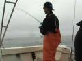 Fast and Furious Rock Cod Fishing on Light Tackle