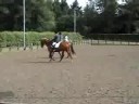 Dressage at medstead
