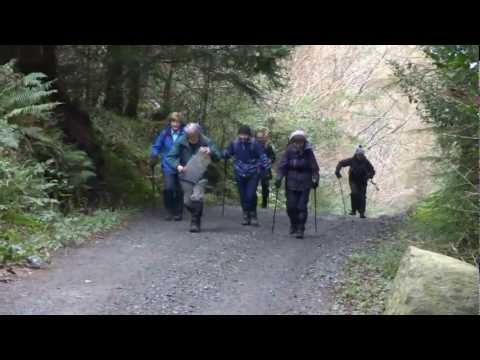 runners and riders