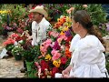 Este espectacular evento se celebra cada año en la ciudad de Medellín durante la Feria de las Flores; es una exposición de gran colorido donde asiste público de todo el mundo.En www.colombiamitierra.s5.com puedes ver fotos de este evento en el 2006