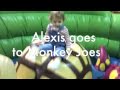 Monkey Joes Again