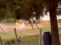 videos de FUMIGACION DE PULGAS Y GARRAPATAS !!