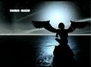 Shaman - Reason