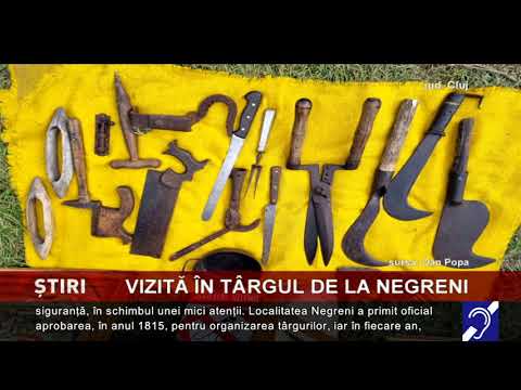 Vizită în Târgul de la Negreni