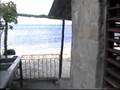 Cuba- Cochinillo en la playa de El Cayuelo - Guardalavaca
