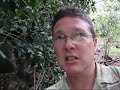 Hawaiian Treasure II - part 2