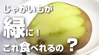 緑がかったじゃがいもって食べられるの？ | 生活知恵袋