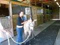 Baby Ray & Dr. Das on 111309.avi