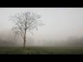 Mira Het Liefst Official Music Video and Lyrics