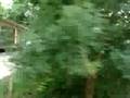 Aug 03 - River Road East