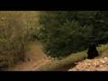 clip video Hey Hey My My I need some time