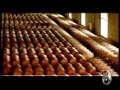 Bodegas del Fin del Mundo Segunda Parte