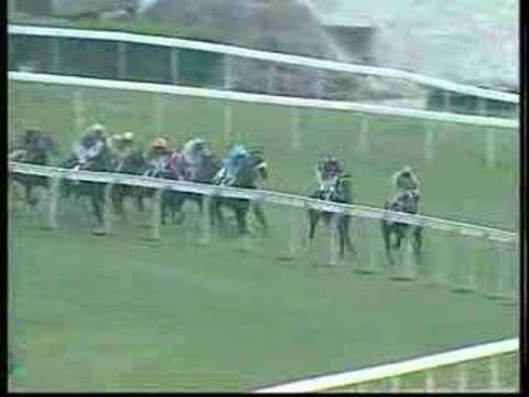Lucky Owners - Road to the Glory - Fukushima Handicap 1600m