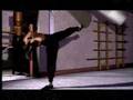 bruce lee is the biggest legend