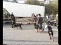 videos de KWH spor.wmv