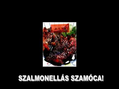 Roma-Magyar nyelvrokonság