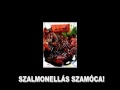 Roma-Magyar nyelvrokons�g