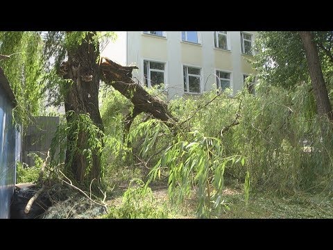 На Гомельщине завершается ликвидация последствий урагана видео