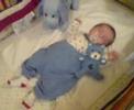 Cute Baby