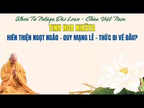 Tinh Hoa NIKAYA - Hiền Thiện Ngọt Ngào - Quy Mạng Lễ - Thức Đi Về Đâu ? (Chùa Việt Nam - Đài Loan)