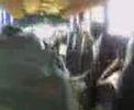sortie luizia (chakhbat chakahbit...:s)