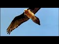Vangelis  -- Himalaya     ( PowerPoint & Video )