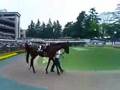 稲光動画3