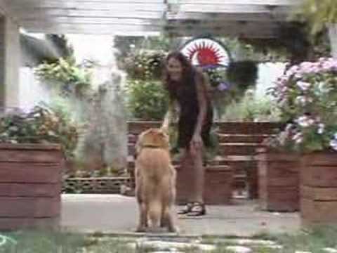Alcohol Abuse Treatment Programs |  Meth Treatment Programs