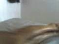 A cammera da a Fracci