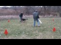 Hanks 2nd training video wmv file.wmv
