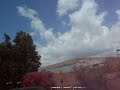 Click here to watch this video Psycho H Bird dive3.mov