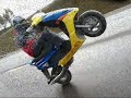 Kubu video ..