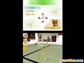 Nintendogs Nintendogs
