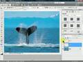 Phtoshop Elements 5.0 - Jigsaw Puzzle Image