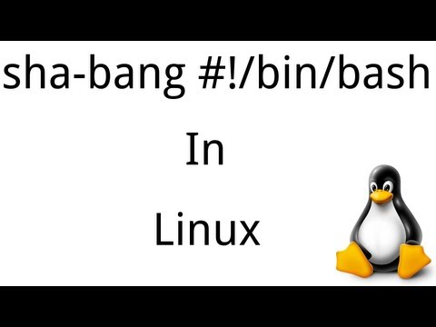 how to script in linux