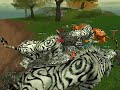 Silkroad Online: Sopbeertje VS Tiger Girl